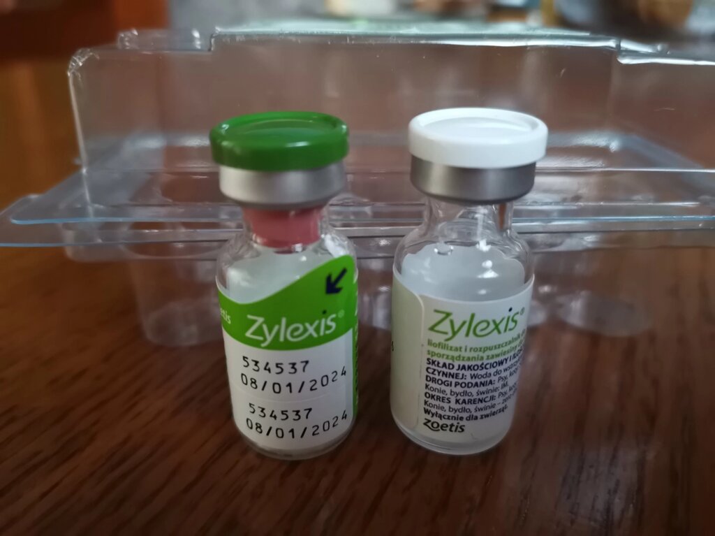 Зілексіс Zylexis імунностімулятор - розпродаж