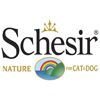 Schesir