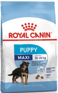 Сухий корм Royal Canin Maxi Junior