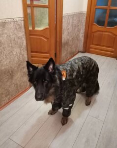 Дощовик для собаки камуфляж з шовковою підкладкою Лорі