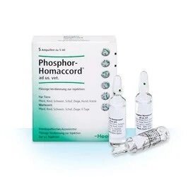 Фосфор-гомаккорди 5мл Phosphor Homaccord Heel