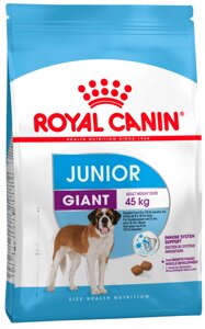 Сухий корм Royal Canin Giant Junior для цуценят гігантських порід у віці 8-24 місяців
