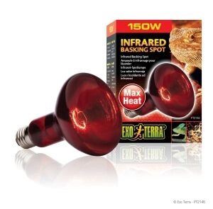 Лампа інфрачервона R30 / 150W для тераріуму