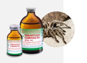 Tarantula Cubensis (Тарантула Кубенсіс) для лікування гнійно-некротичних процесів (Теранекрон D6) 100мл.