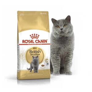Сухий корм Royal Canin British Shorthair 34 для британських кішок