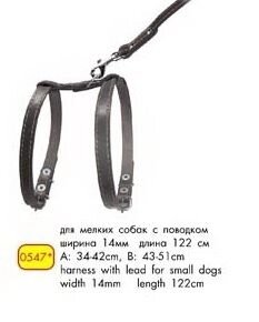 Шлея "CoLLaR" шкір. "Для дрібних собак з повідцем довжина 122 см А: 27-35cm, B: 35-45cm" від компанії MY PET - фото 1