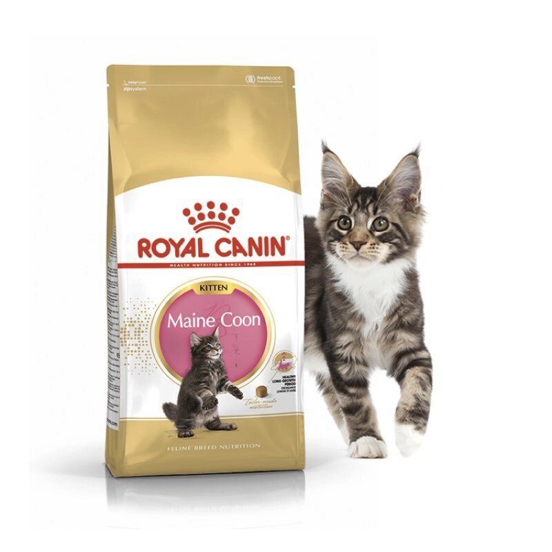 Royal Canin Maine Coon Kitten для кошенят породи Мейн Кун від 3 міс до 15 міс 4кг від компанії MY PET - фото 1