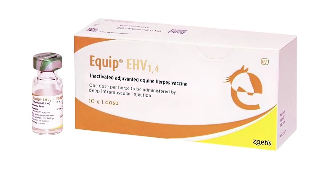 Вакцина Еквіп EHV 1,4 / Equip EHV 1,4 проти герпесу коней від компанії MY PET - фото 1