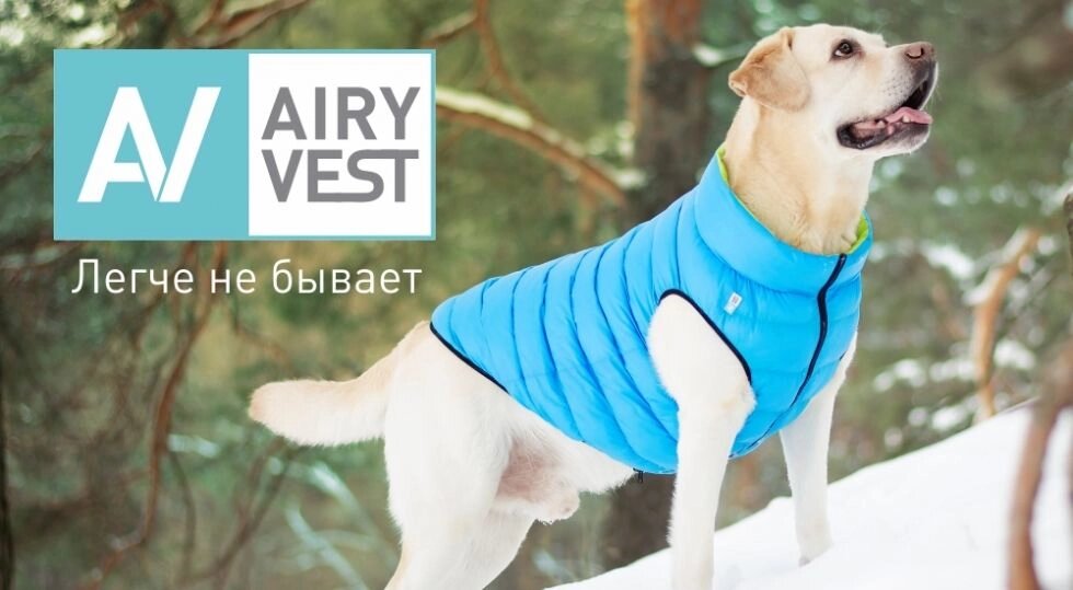 Collar Airy Vest Двостороння куртка для собак XS22 від компанії MY PET - фото 1