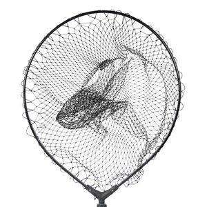 Голова підсака Golden Catch OV504070L 7x8мм