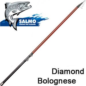 Вудлище Salmo Diamond MACROTECH BOLOGNESE 600 2224-600