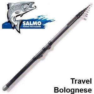 Вудлище Salmo Diamond TRAVEL BOLOGNESE 400 2249-400