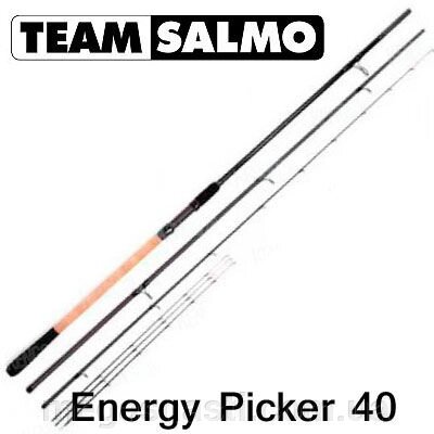 Пикер Team Salmo ENERGY PICKER 3,00м (до 40гр) TSEN40-300 від компанії MEGASNASTI - фото 1