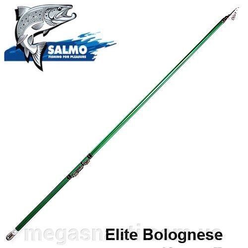 Вудлище Salmo Elite BOLOGNESE LIGHT 400 5502-400 від компанії MEGASNASTI - фото 1