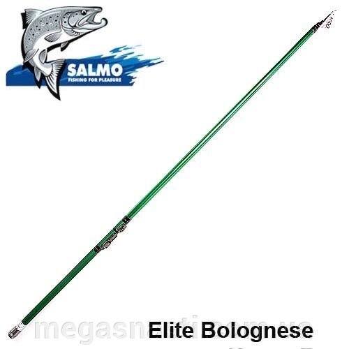 Вудлище Salmo Elite BOLOGNESE LIGHT 500 5502-500 від компанії MEGASNASTI - фото 1