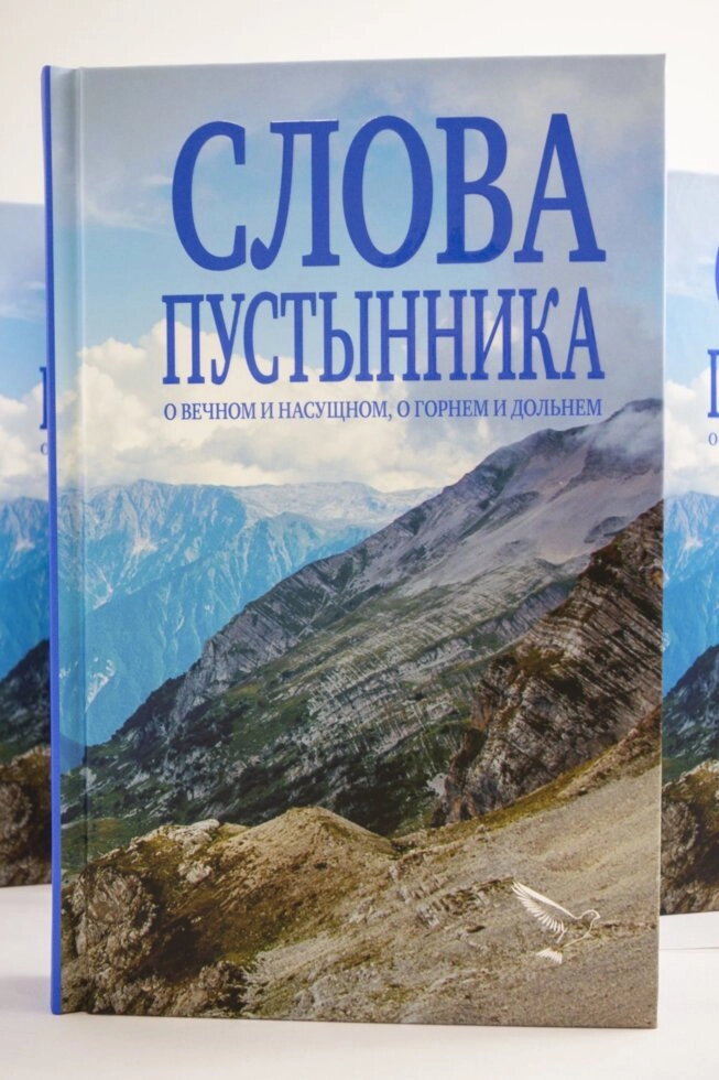 Слова пустельника. Про вічне і насущний, про горнем і дольнем. Ієромонах Костянтин (Ковальчук) — фото 1