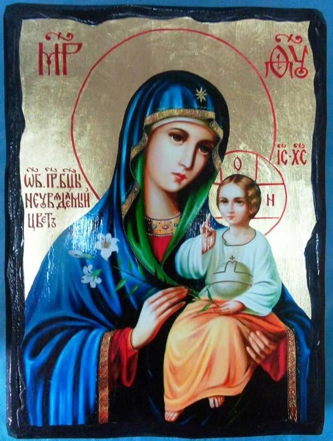 Ікона чорне золото, "Нев'янучий Колір", 21х28 — фото 1