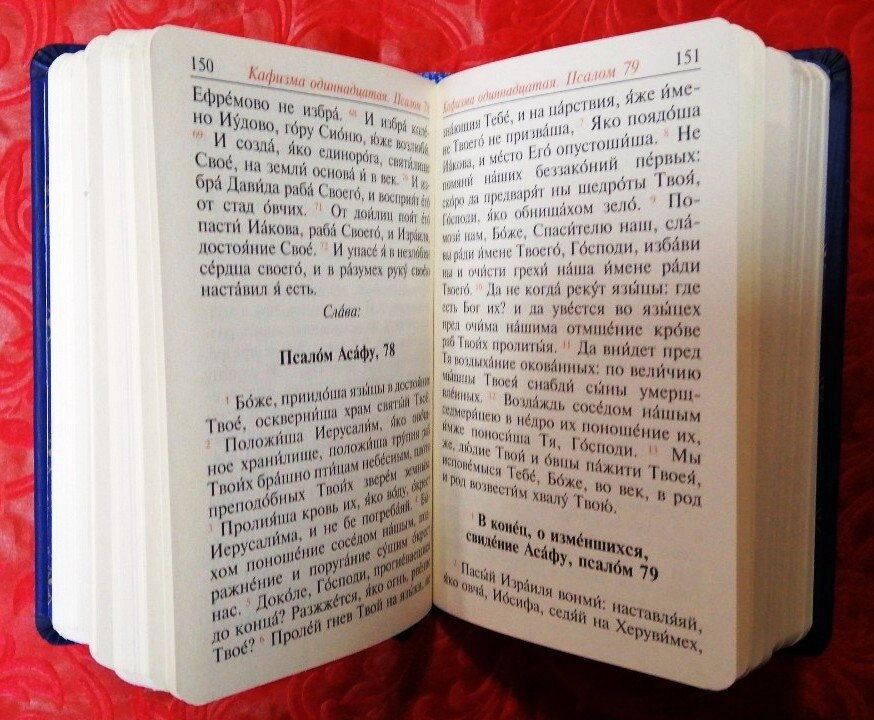 Псалтир шкір. зам — мініатюра 2