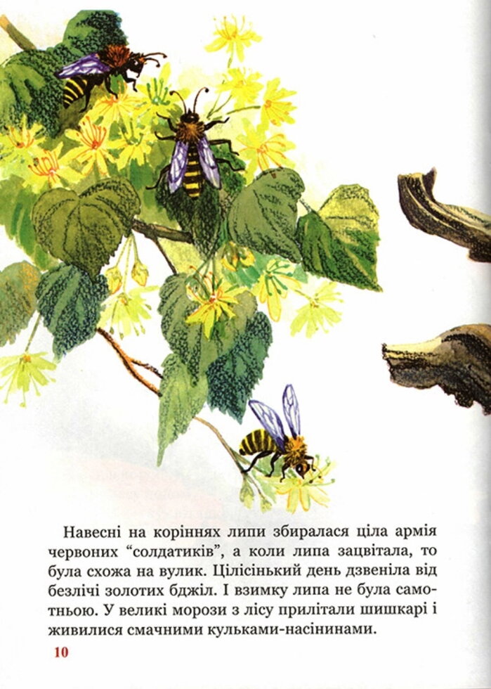 Світлинка. В. А. Бахревській. Книжки невеликого їжачка — мініатюра 2