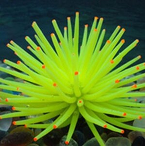 Декор для акваріума жовтий "Морський їжак"діаметр 7см, силікон, безпечний для риб і креветок)