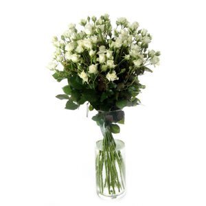 заказать розы Киев