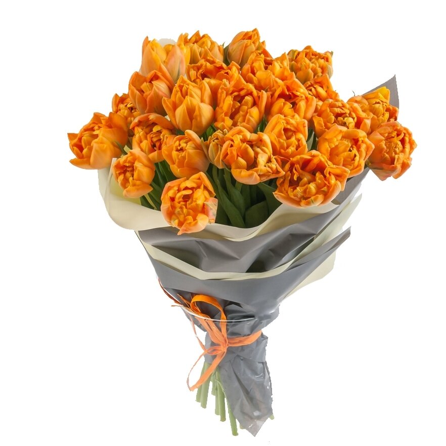 тюльпаны оптом