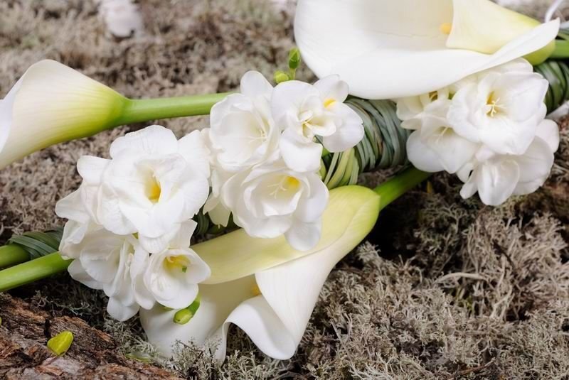 доставка цветов Киев