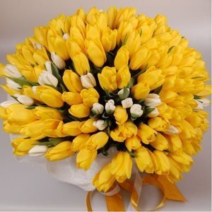 тюльпаны оптом Киев