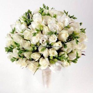 свежие розы теплицы