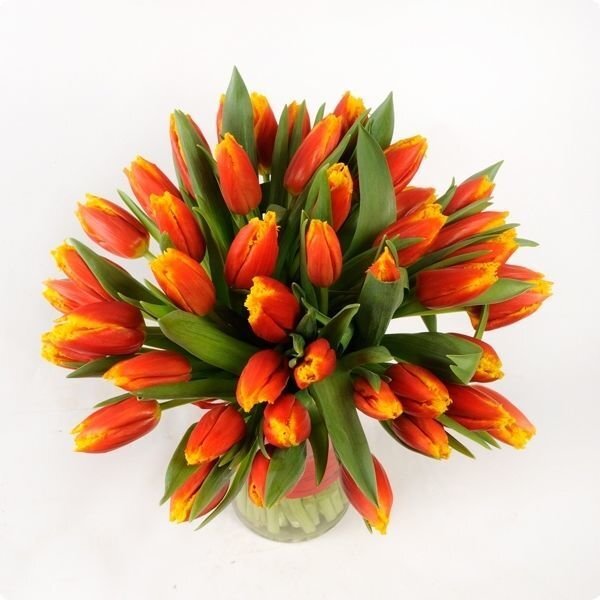 доставка живых цветов Киев