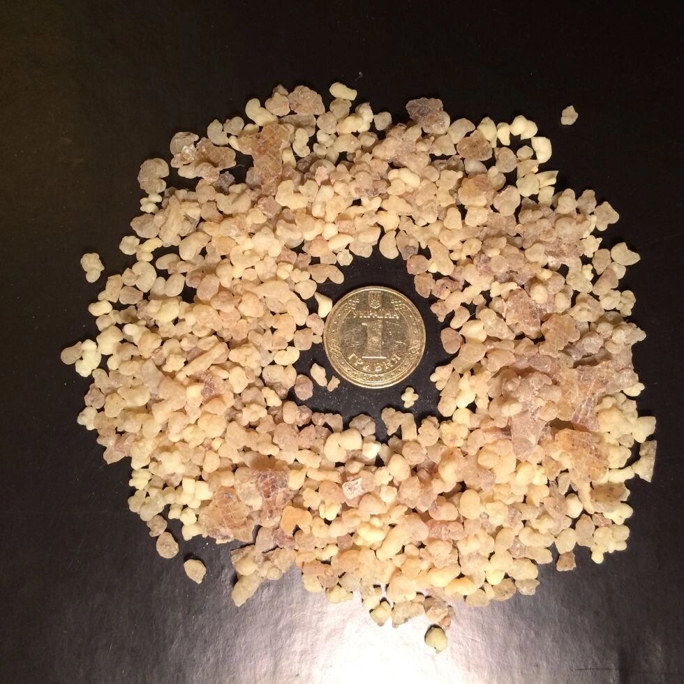 Натуральна смола ладану (Olibanum), дрібна 0,1-0,3 см від компанії Майстерня ладану "Ладанка" - фото 1