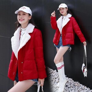 Під замовлення! Жіноче коротке пальто з вовни ягняти, зима 2019, новий стиль, корейська мода, маленький