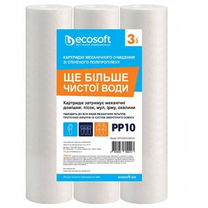 Комплект картриджів Ecosoft 2,5"X10" 10 МКМ CPV3251010ECO