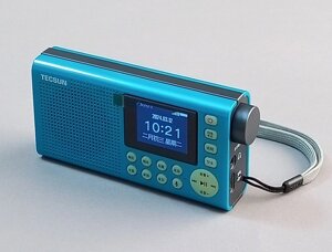 Інтернет-радіо інтелектуальне 4G+WiFi з діапазоном FM TECSUN NR100, програвач музичних розважальних програм