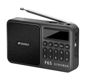 FM радіоприймач F65SAN MP3 (TF/USB) Bluetooth 5.3 AUX, акумулятор 18650, бездротовий міні-динамік, сірий
