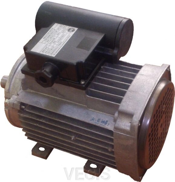 Електродвигун "VEGiS" 2,5 кВт (комбінований: лапа, фланець) від компанії VEGIS - фото 1