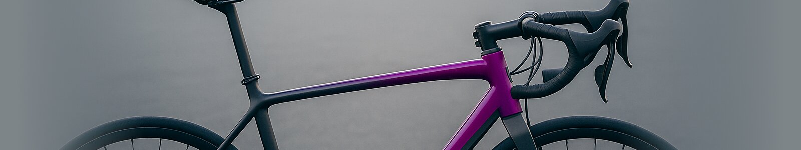 velo-life